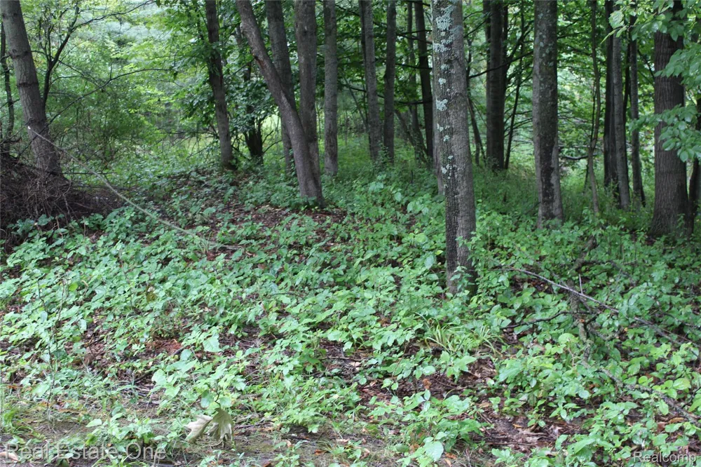 149 Greensboro Way Butman Township, MI 48624