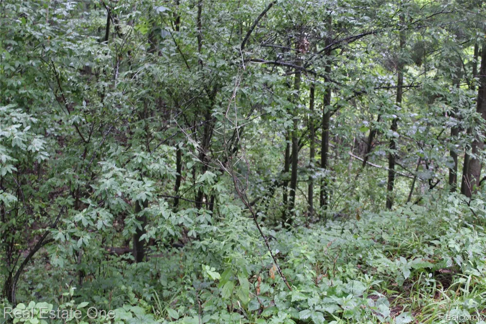 149 Greensboro Way Butman Township, MI 48624