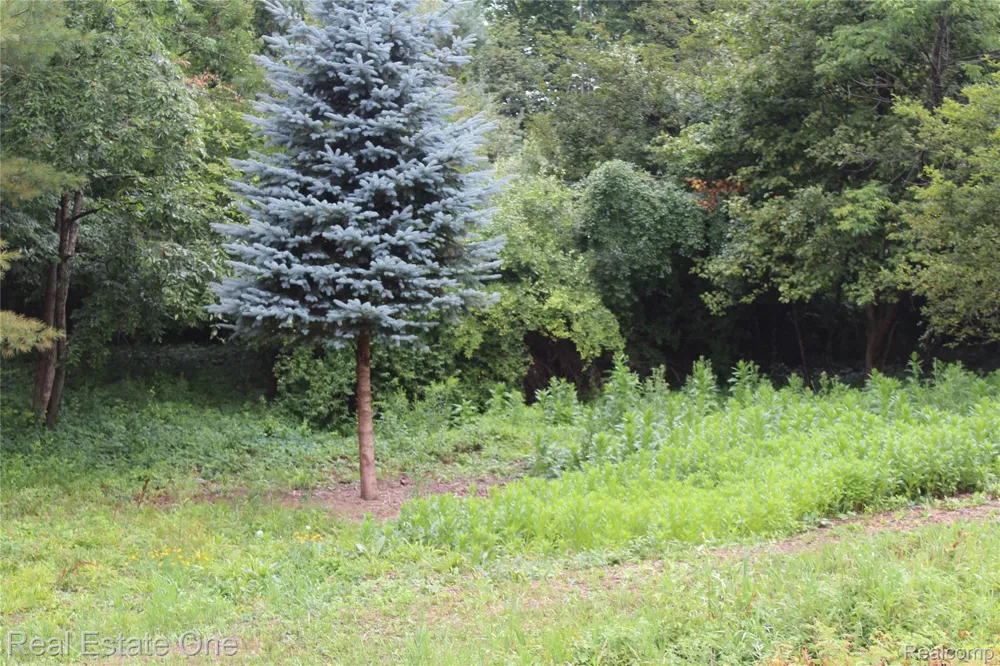 149 Greensboro Way Butman Township, MI 48624