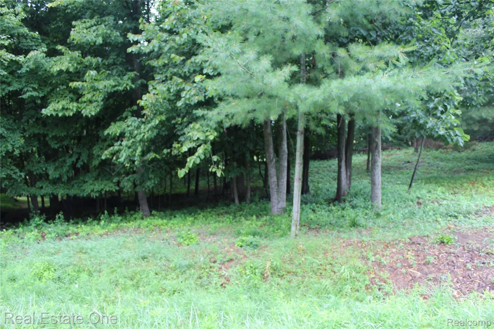 149 Greensboro Way Butman Township, MI 48624