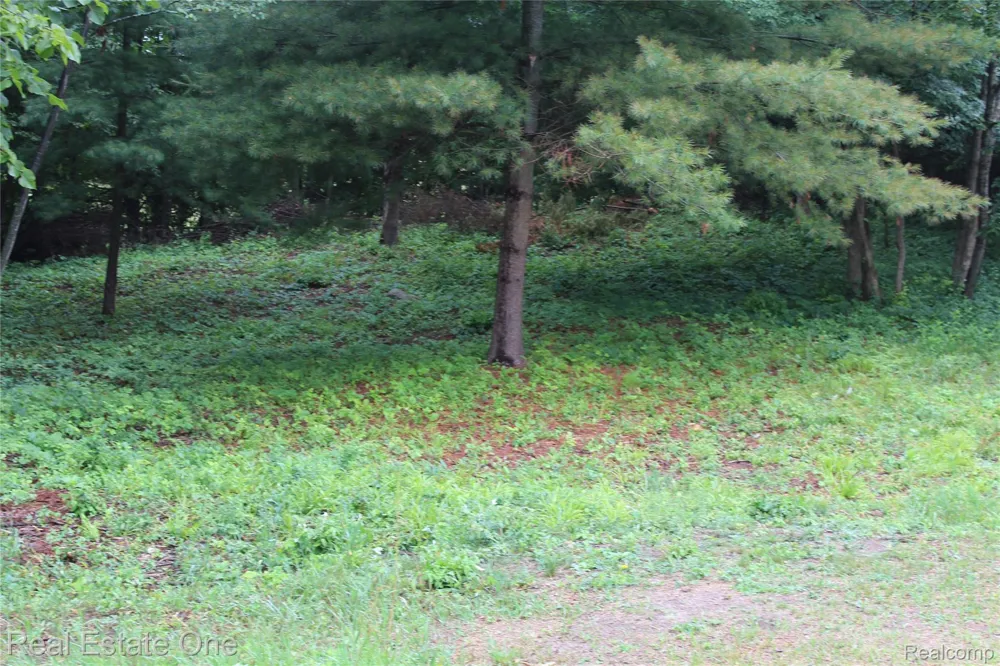 149 Greensboro Way Butman Township, MI 48624