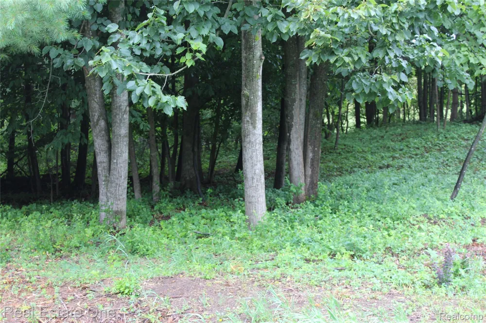149 Greensboro Way Butman Township, MI 48624