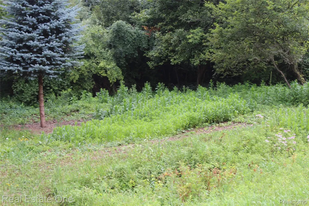 149 Greensboro Way Butman Township, MI 48624