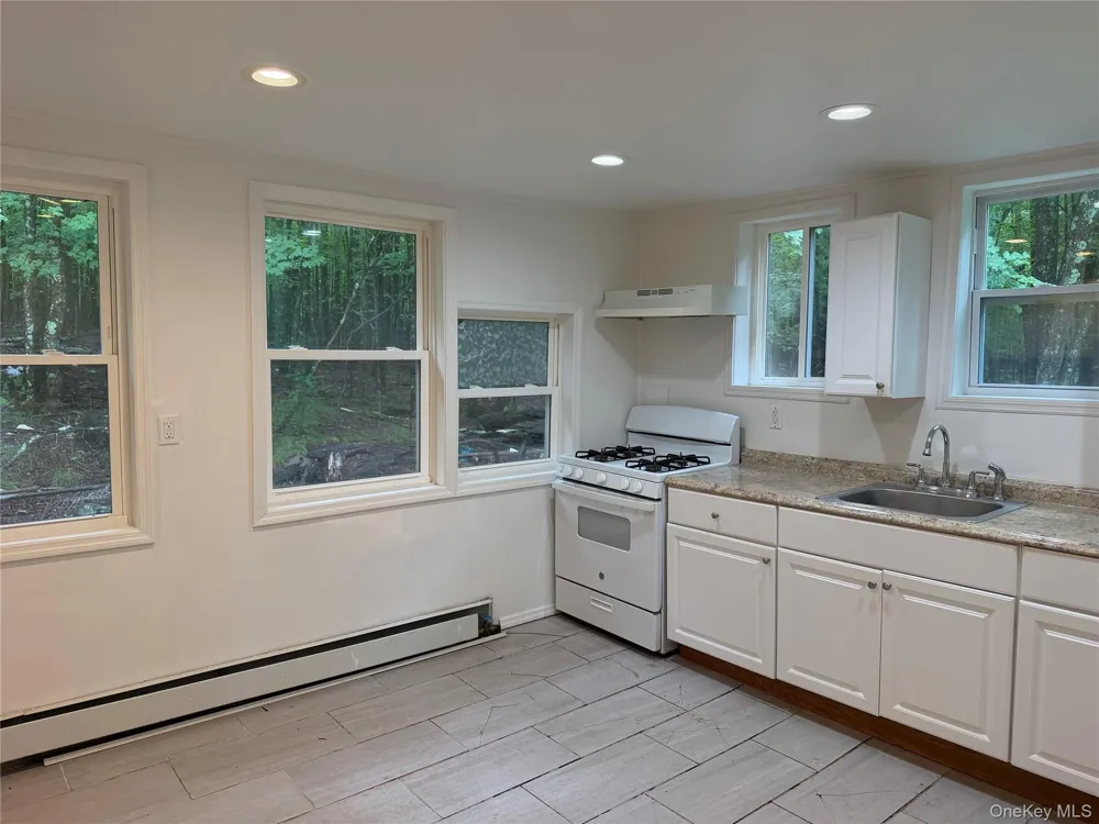 14 Maple Street E Mountain Dale, NY 12763
