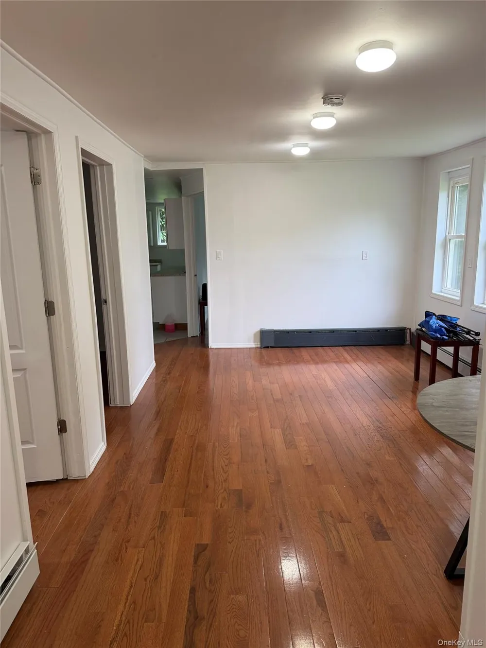 14 Maple Street E Mountain Dale, NY 12763