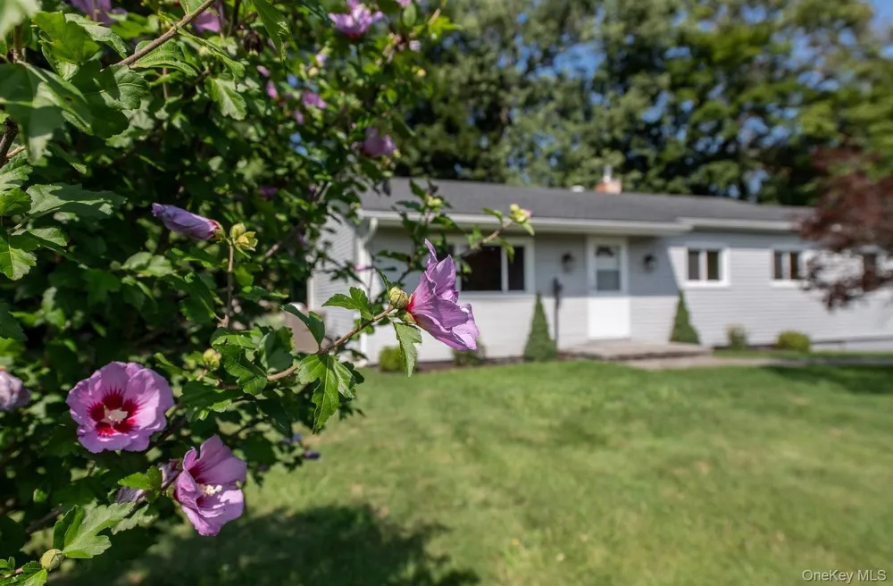 16 Trinity Place Rhinebeck, NY 12572