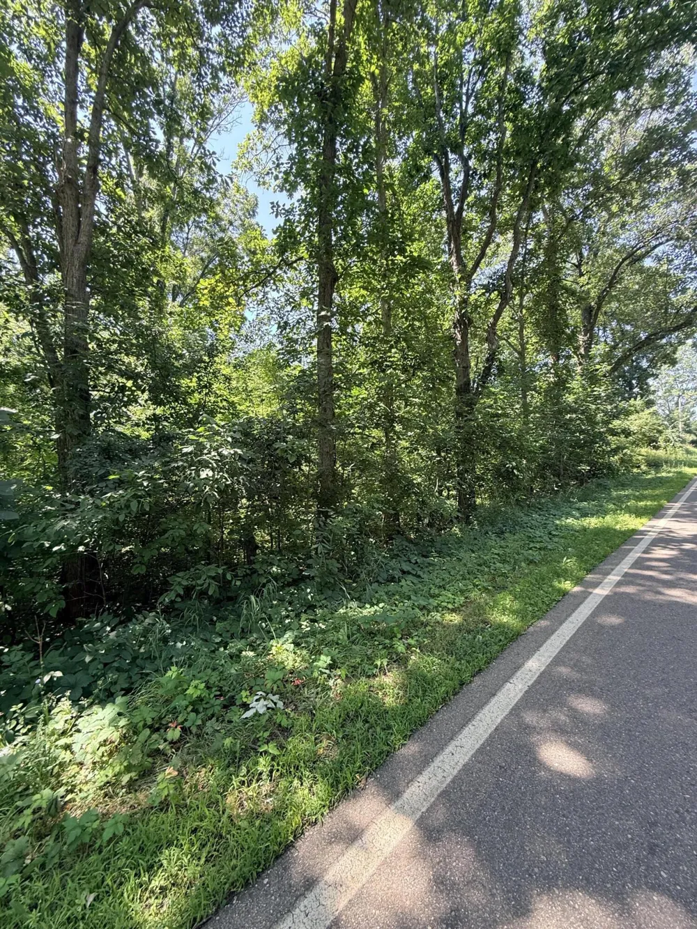Mccain Road Parma, MI 49269