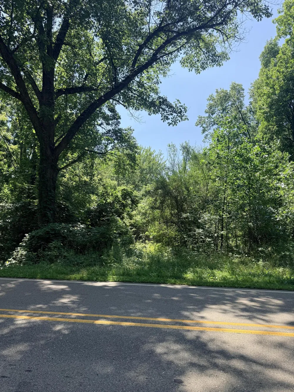 Mccain Road Parma, MI 49269
