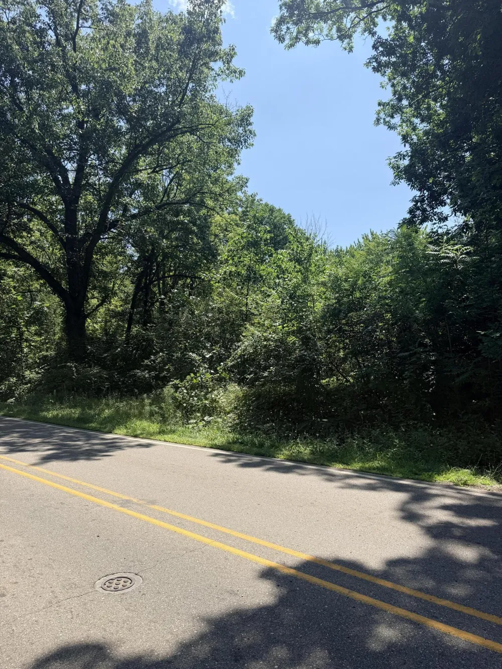 Mccain Road Parma, MI 49269