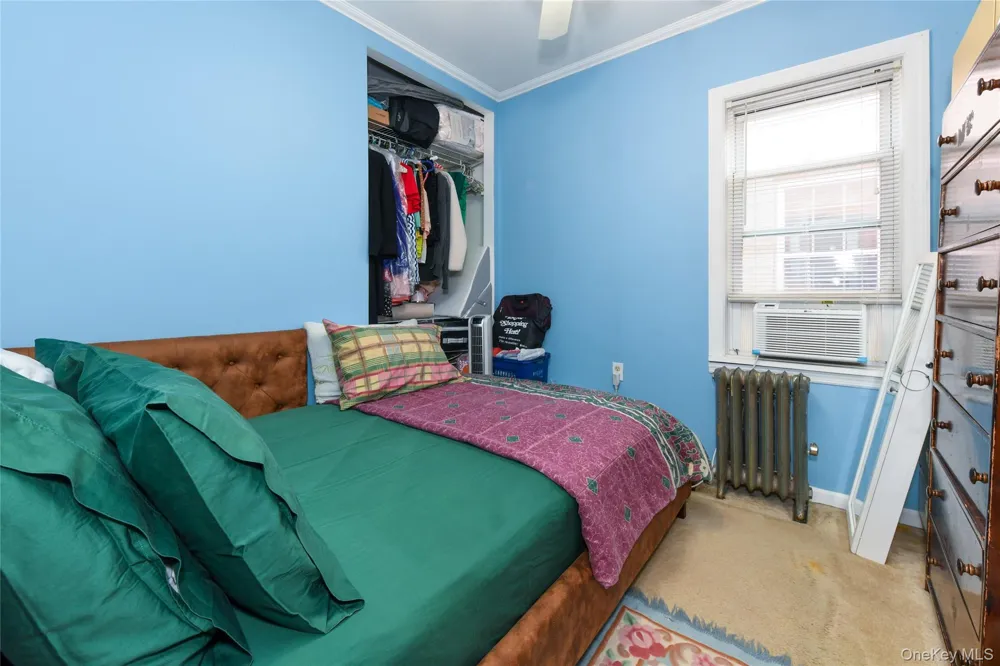126-12 116th Avenue South Ozone Park, NY 11420