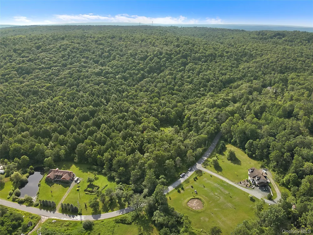 Benton Hollow Road Livingston Manor, NY 12758