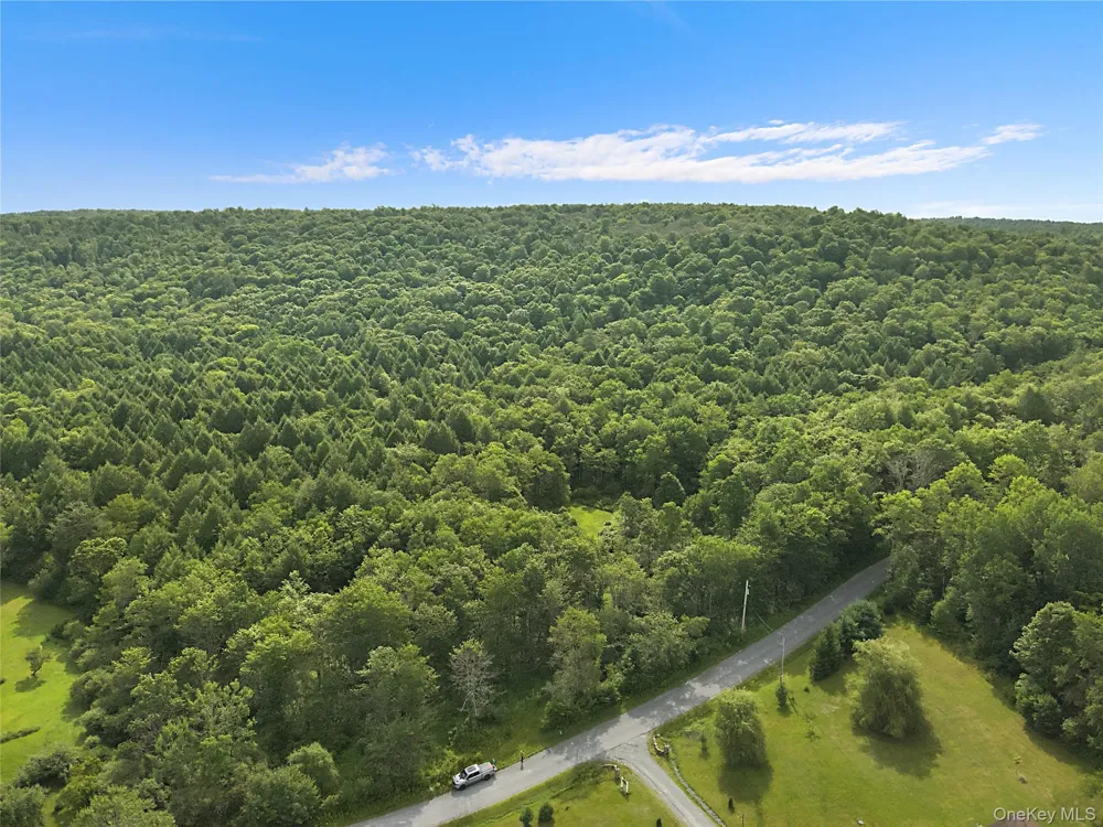 Benton Hollow Road Livingston Manor, NY 12758