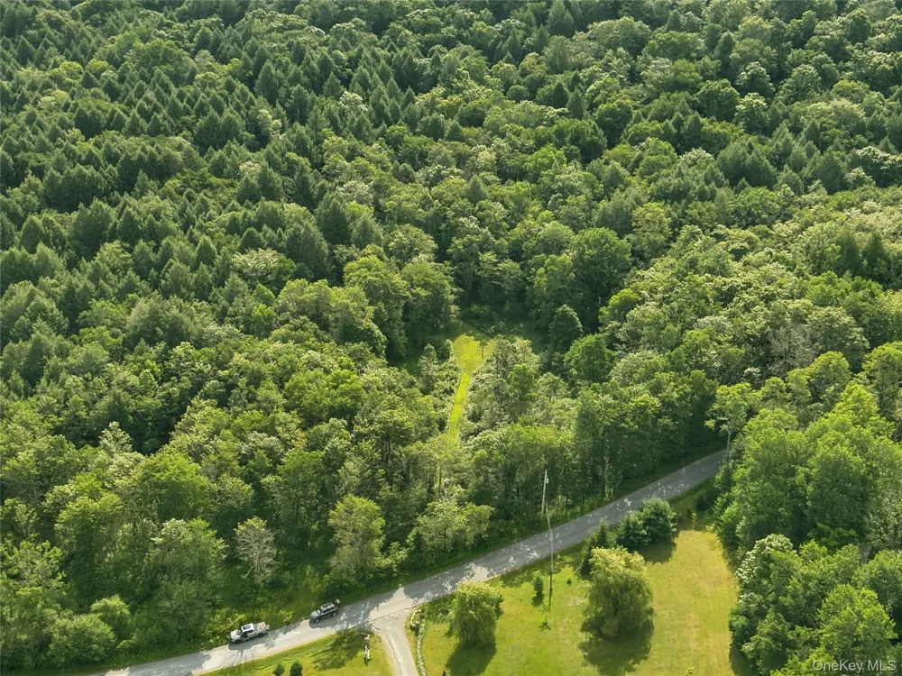 Benton Hollow Road Livingston Manor, NY 12758
