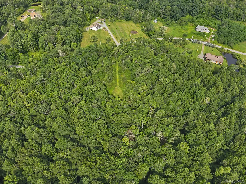 Benton Hollow Road Livingston Manor, NY 12758