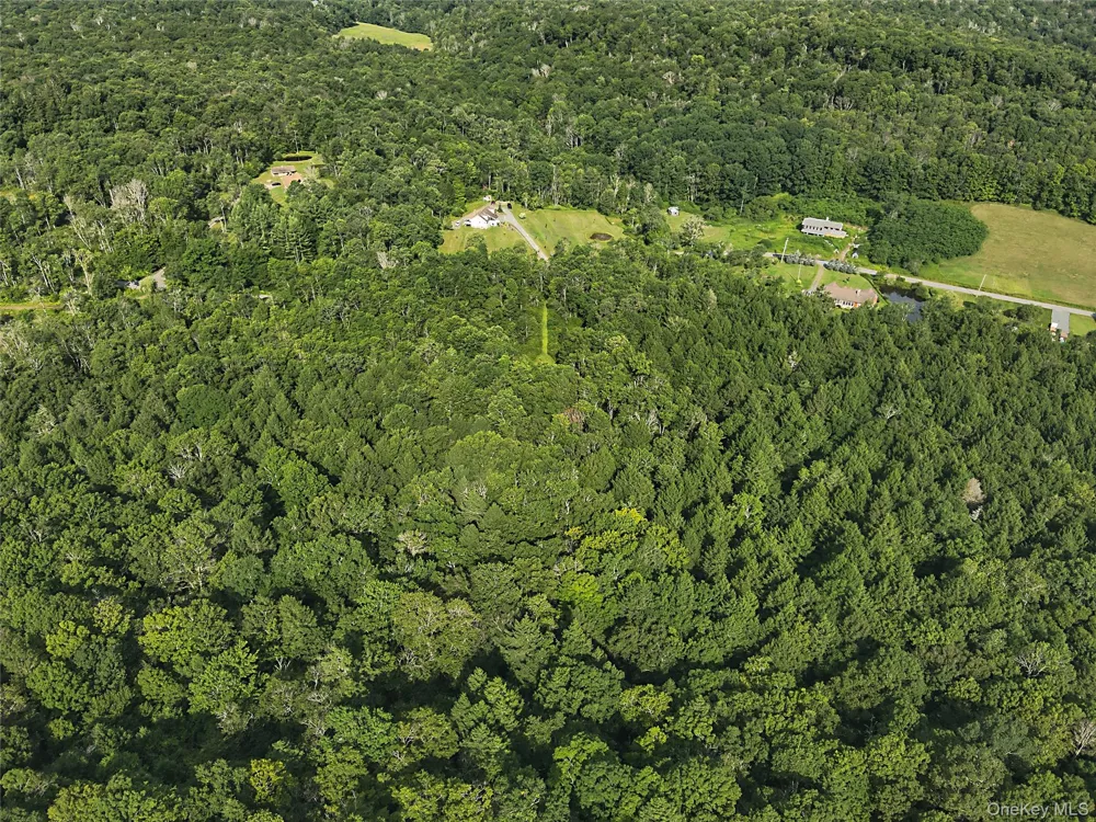 Benton Hollow Road Livingston Manor, NY 12758