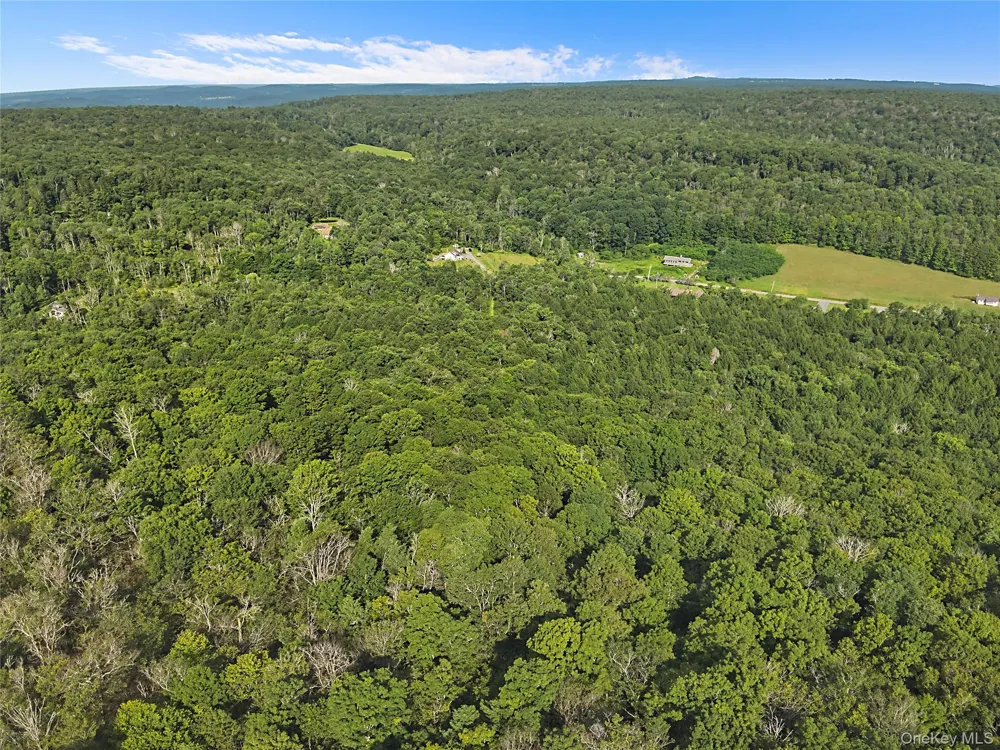 Benton Hollow Road Livingston Manor, NY 12758