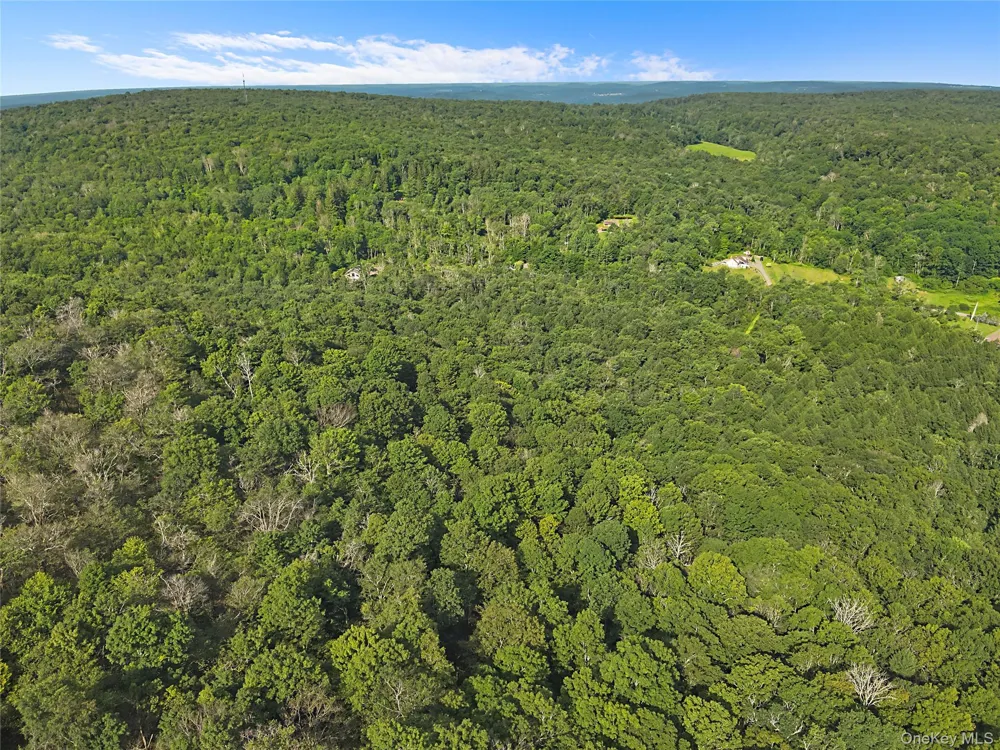 Benton Hollow Road Livingston Manor, NY 12758