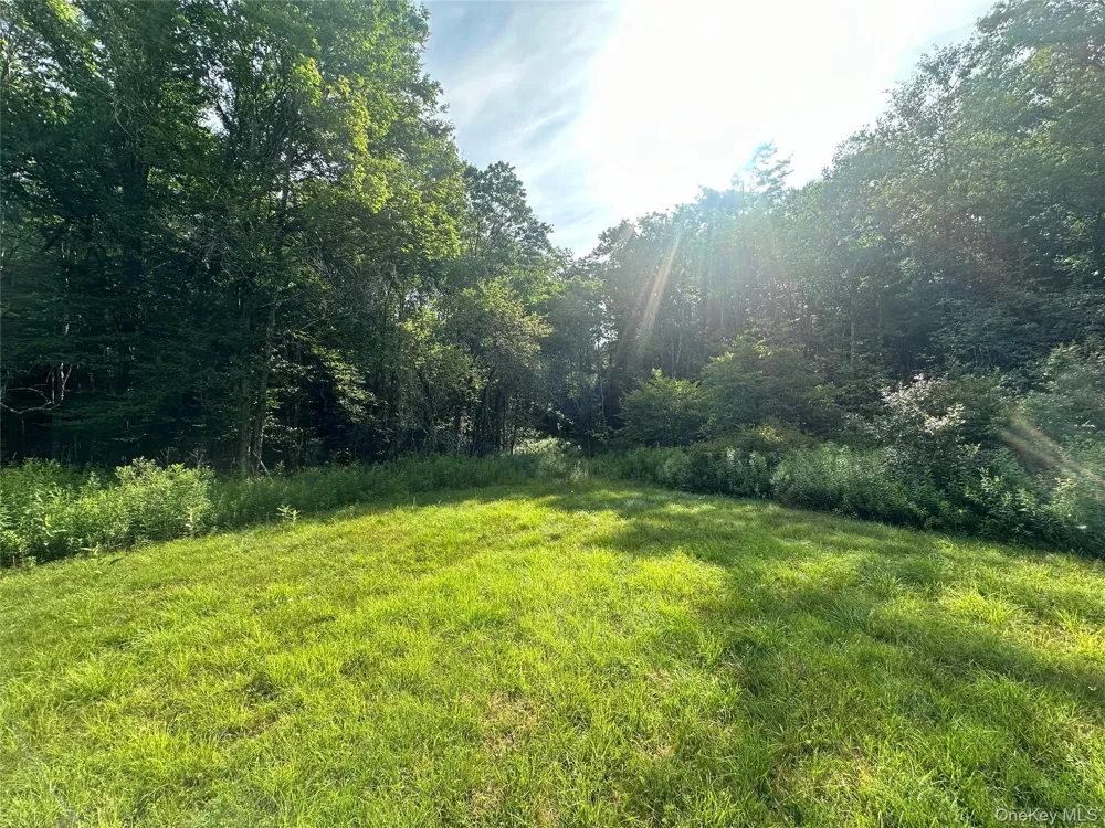 Benton Hollow Road Livingston Manor, NY 12758