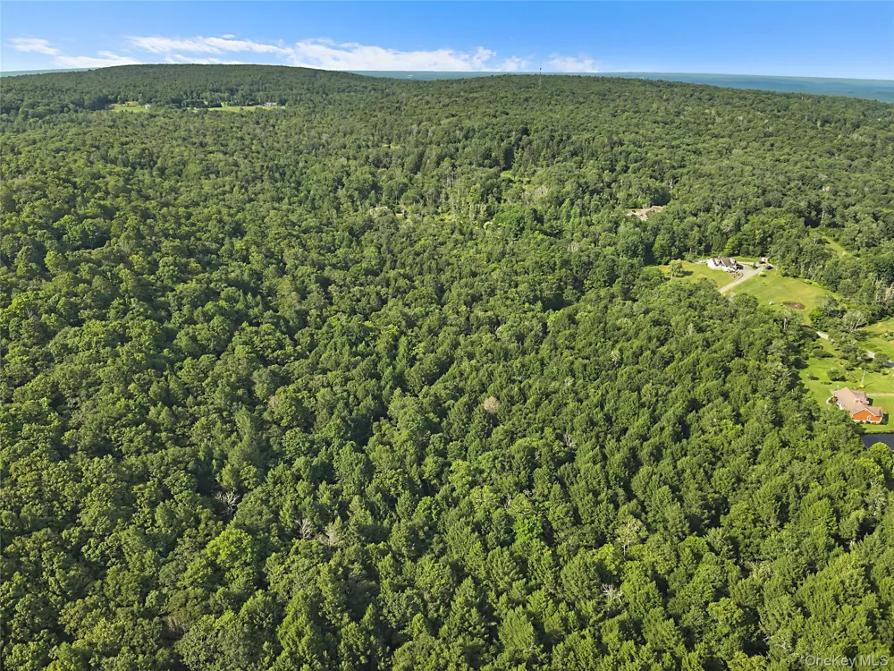 Benton Hollow Road Livingston Manor, NY 12758