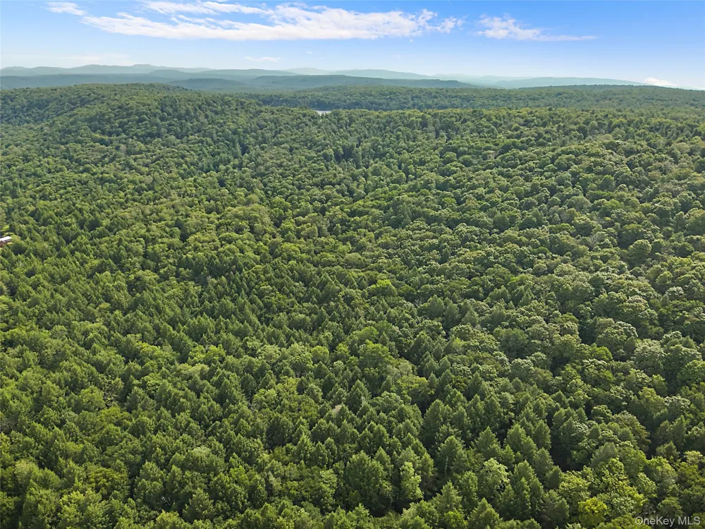 Benton Hollow Road Livingston Manor, NY 12758