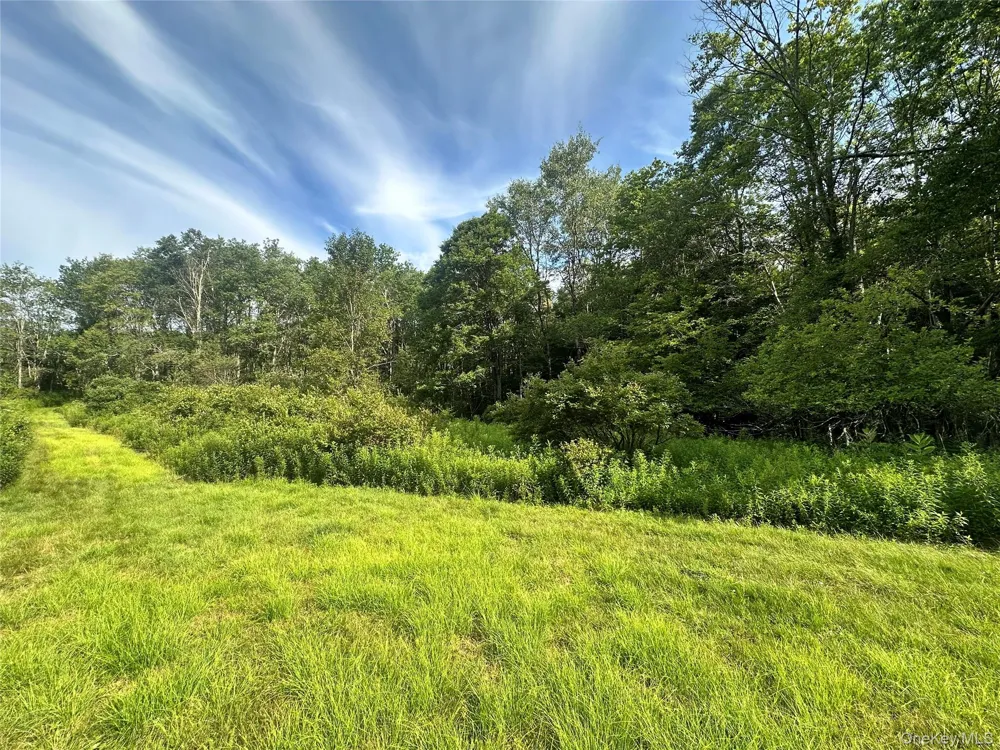 Benton Hollow Road Livingston Manor, NY 12758