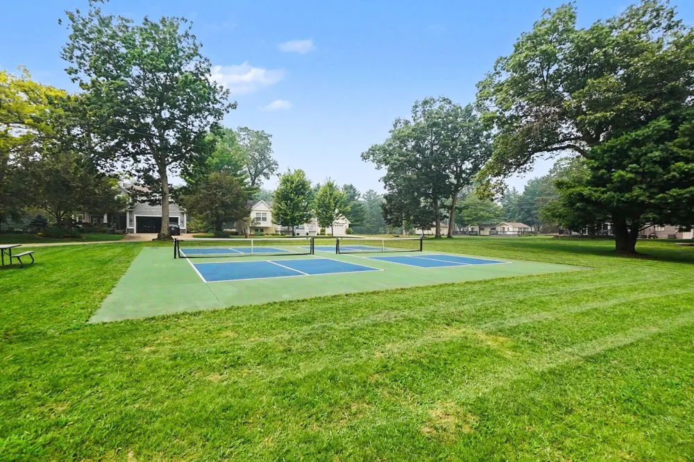 7765 Bayview Shore Drive Baldwin, MI 49304