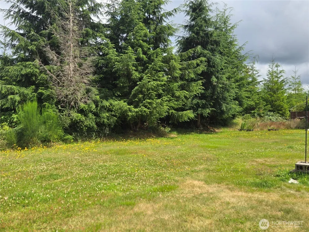 291 Little John Lane Forks, WA 98331