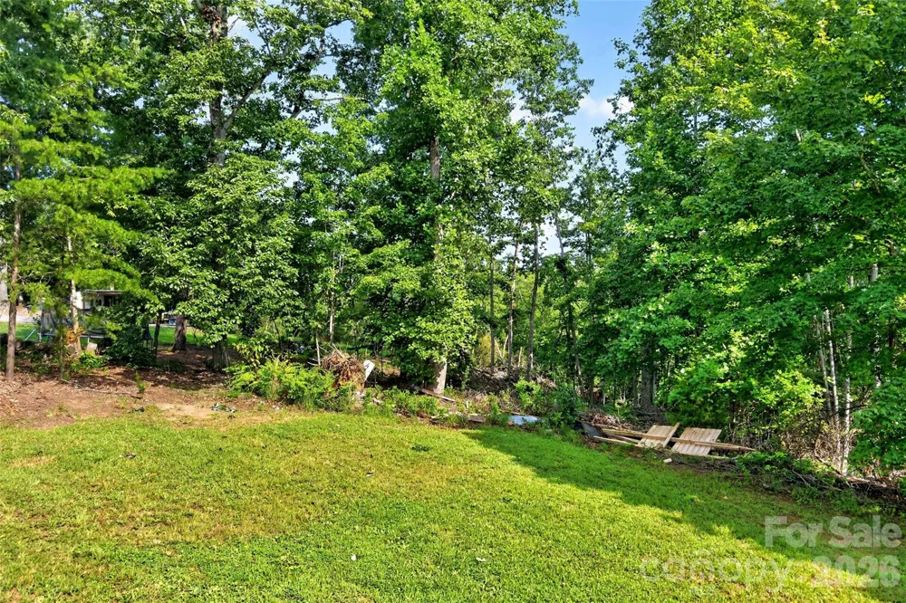 248 Chestnut Oak Forest Drive Nebo, NC 28761