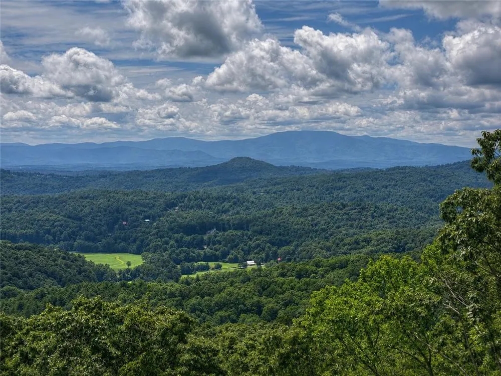 401 Kittatinny Drive Mineral Bluff, GA 30559