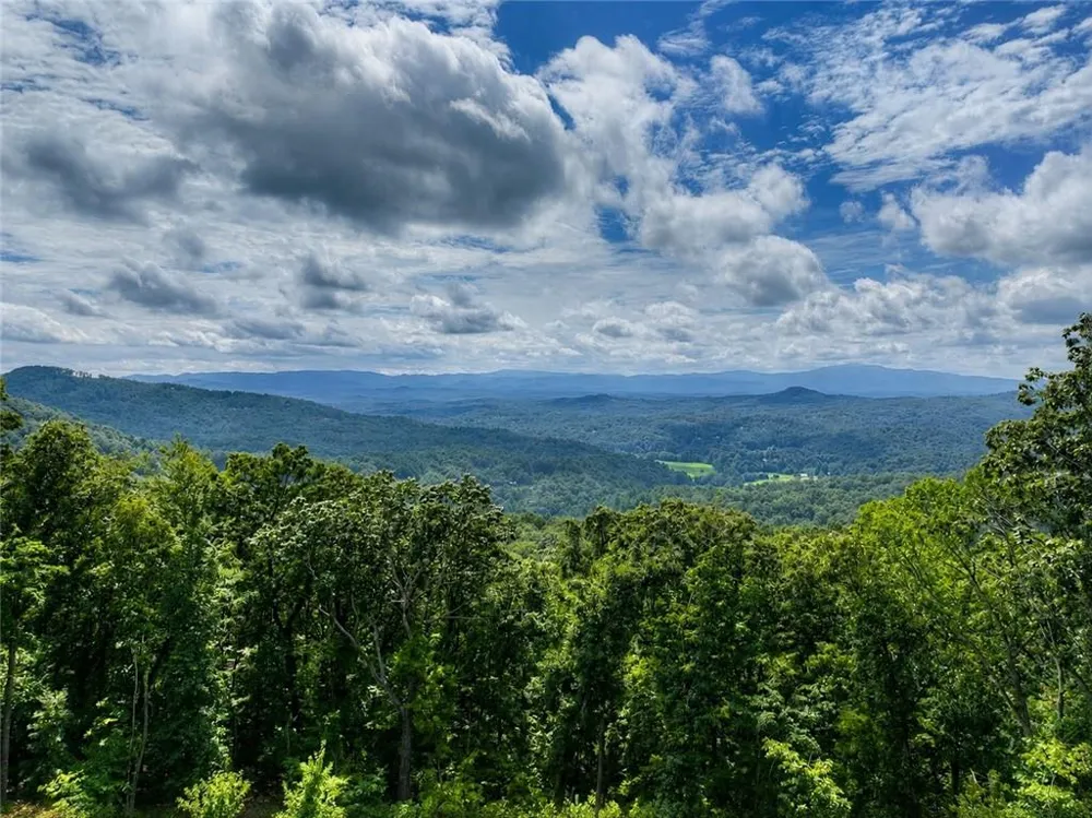 401 Kittatinny Drive Mineral Bluff, GA 30559