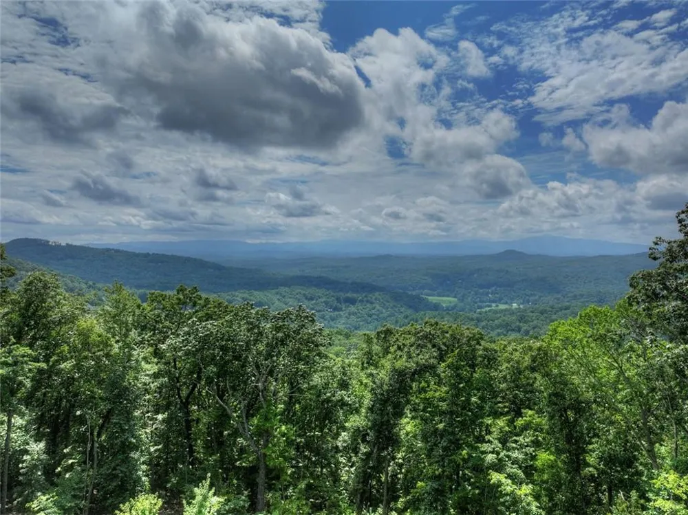 401 Kittatinny Drive Mineral Bluff, GA 30559