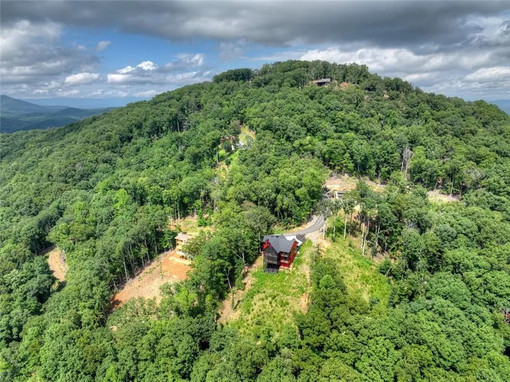 401 Kittatinny Drive Mineral Bluff, GA 30559