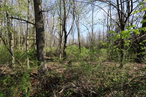 2807 S 13th Street #Tract 1