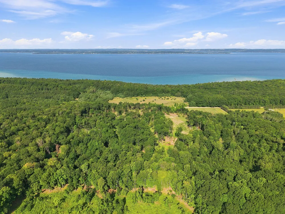 18618 Peninsula Drive Peninsula Township, MI 49686