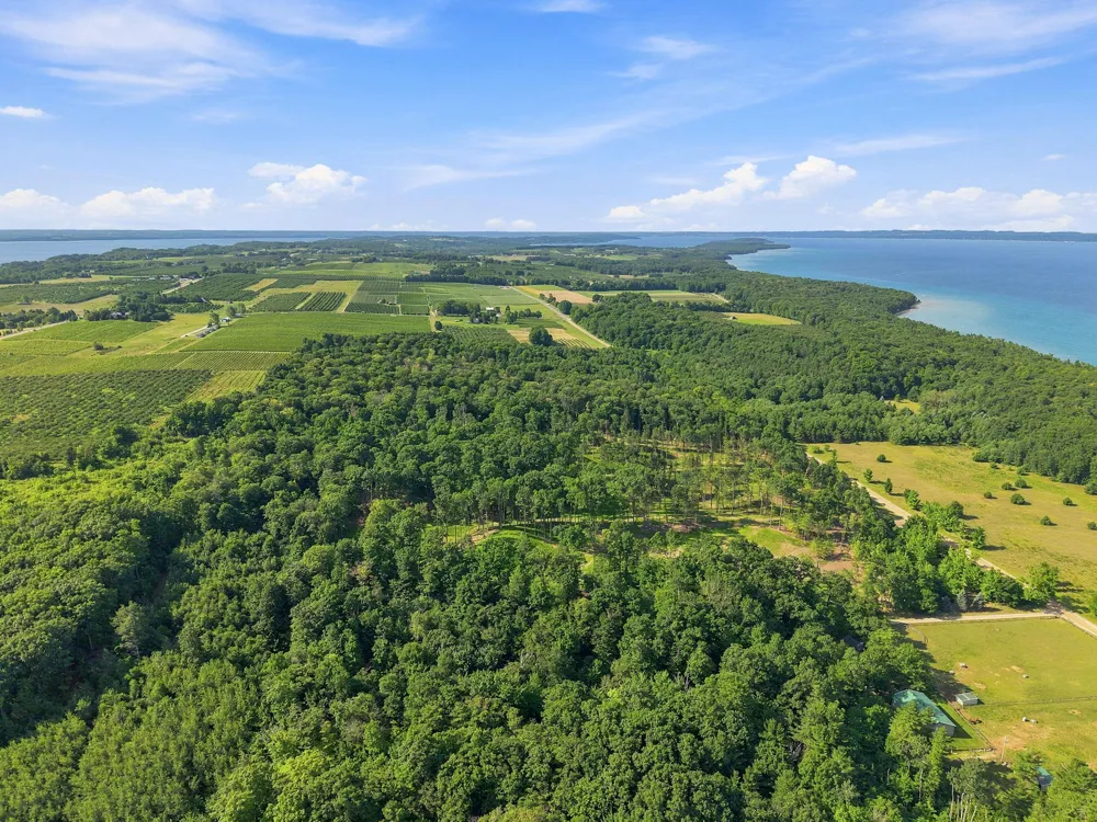 18618 Peninsula Drive Peninsula Township, MI 49686