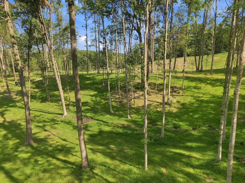 18618 Peninsula Drive Peninsula Township, MI 49686