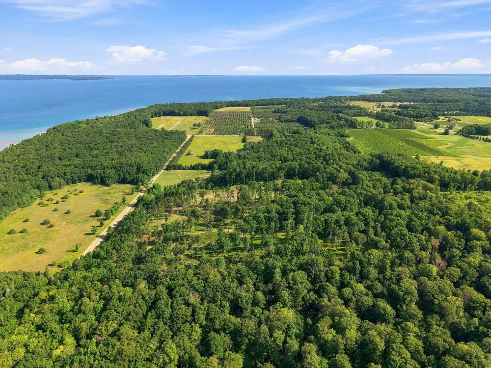 18618 Peninsula Drive Peninsula Township, MI 49686