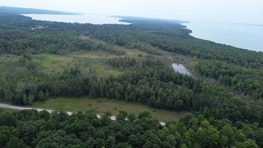 Lore Road Torch Lake Township, MI 49622