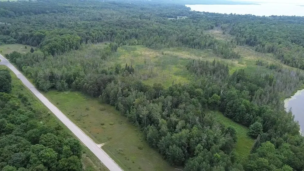 Lore Road Torch Lake Township, MI 49622