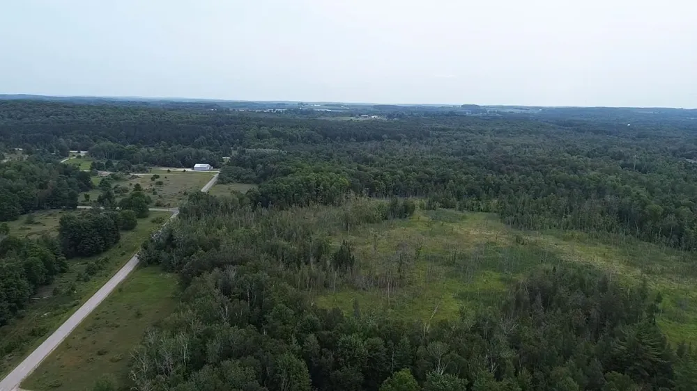 Lore Road Torch Lake Township, MI 49622