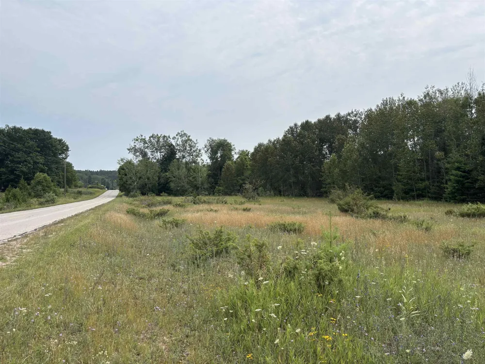 Lore Road Torch Lake Township, MI 49622