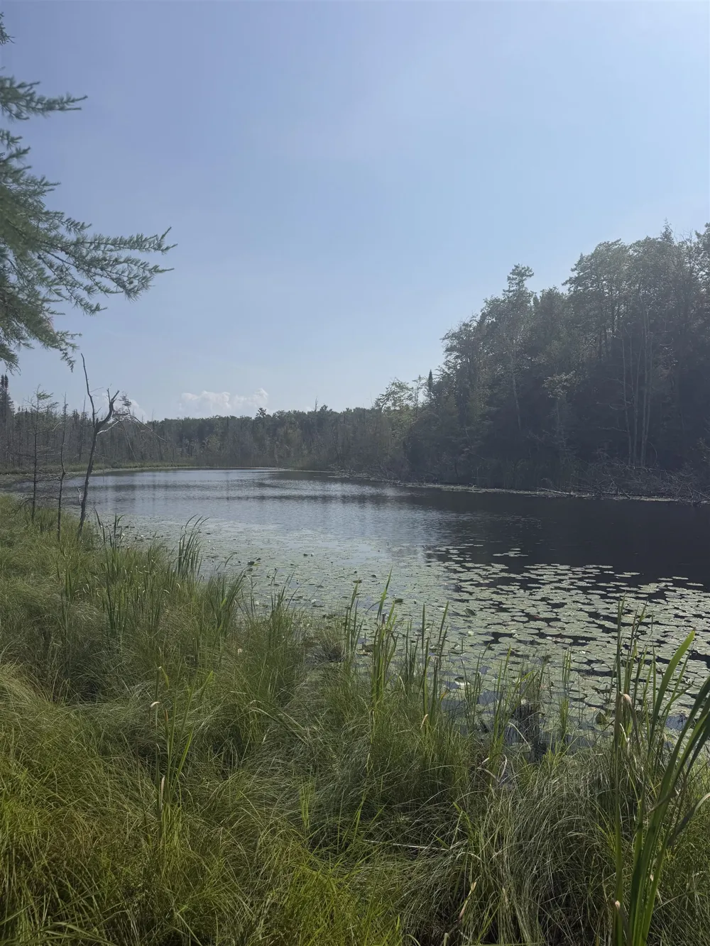 Lore Road Torch Lake Township, MI 49622