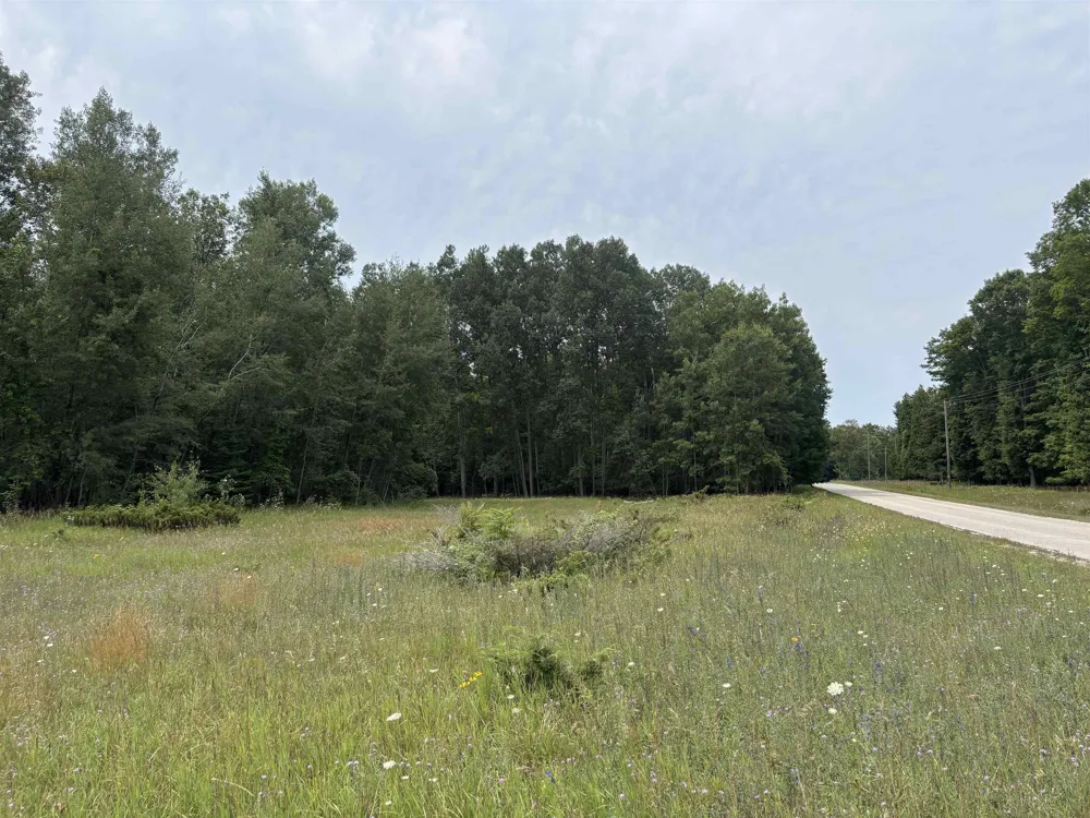 Lore Road Torch Lake Township, MI 49622
