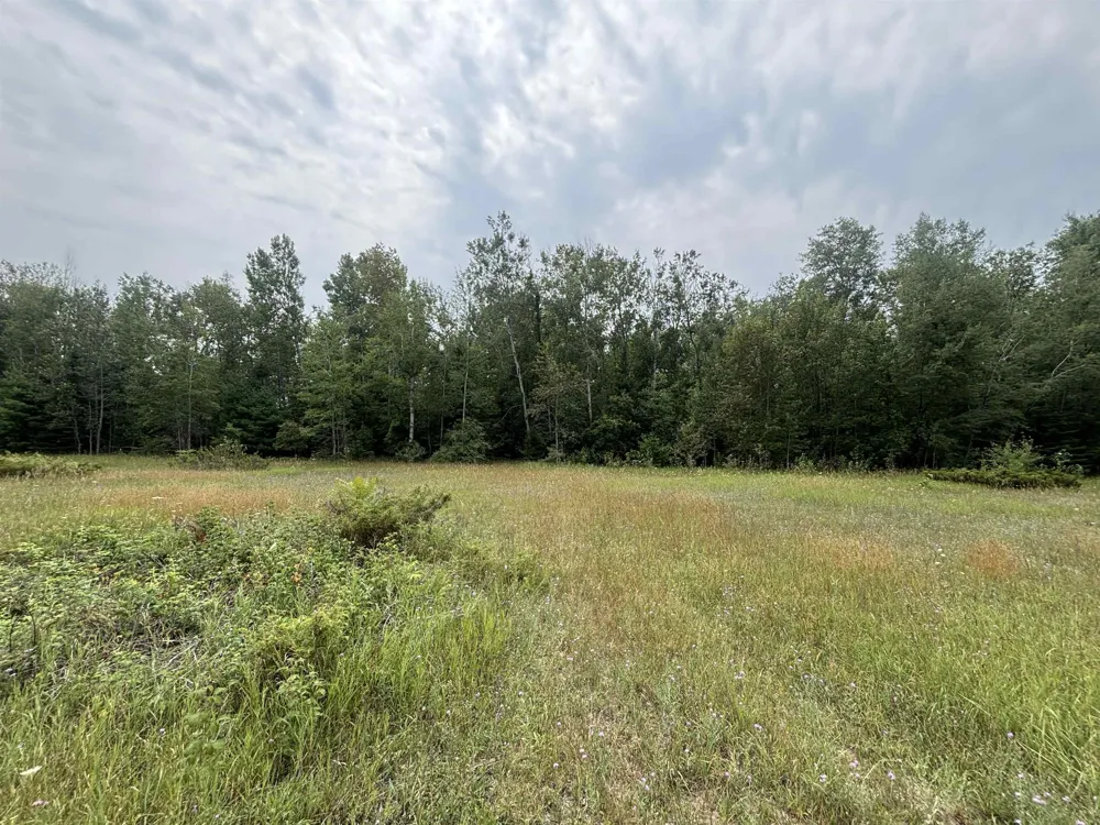 Lore Road Torch Lake Township, MI 49622