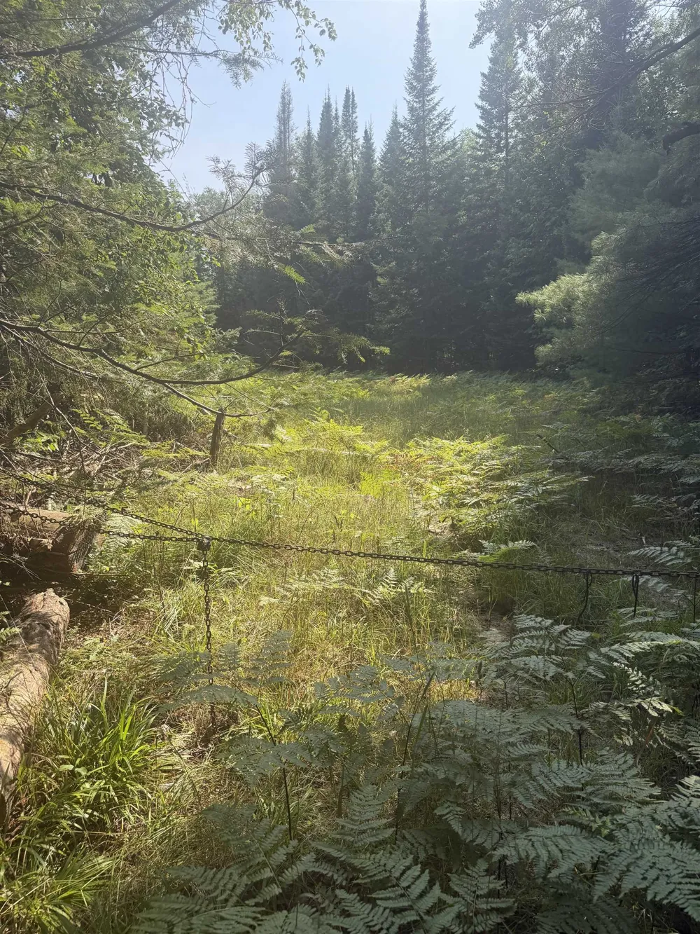 Lore Road Torch Lake Township, MI 49622