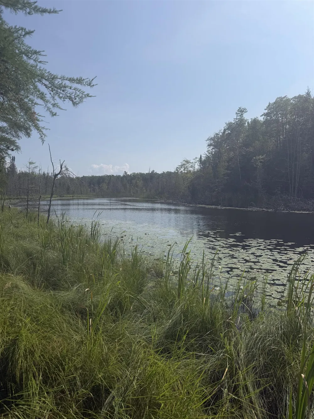 Lore Road Torch Lake Township, MI 49622