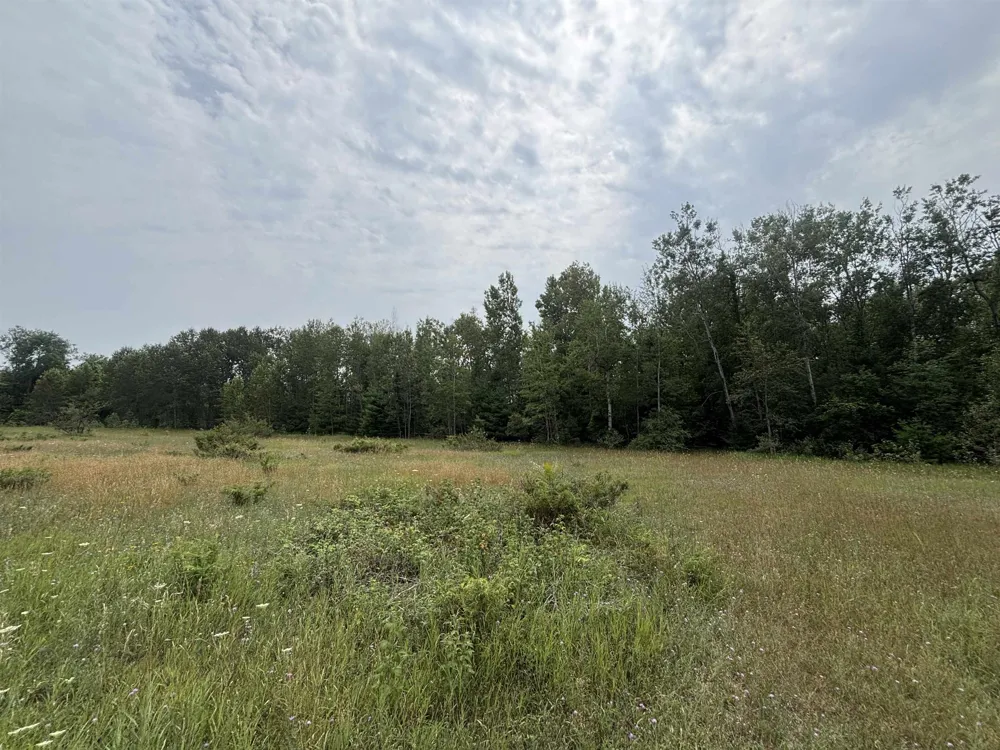 Lore Road Torch Lake Township, MI 49622