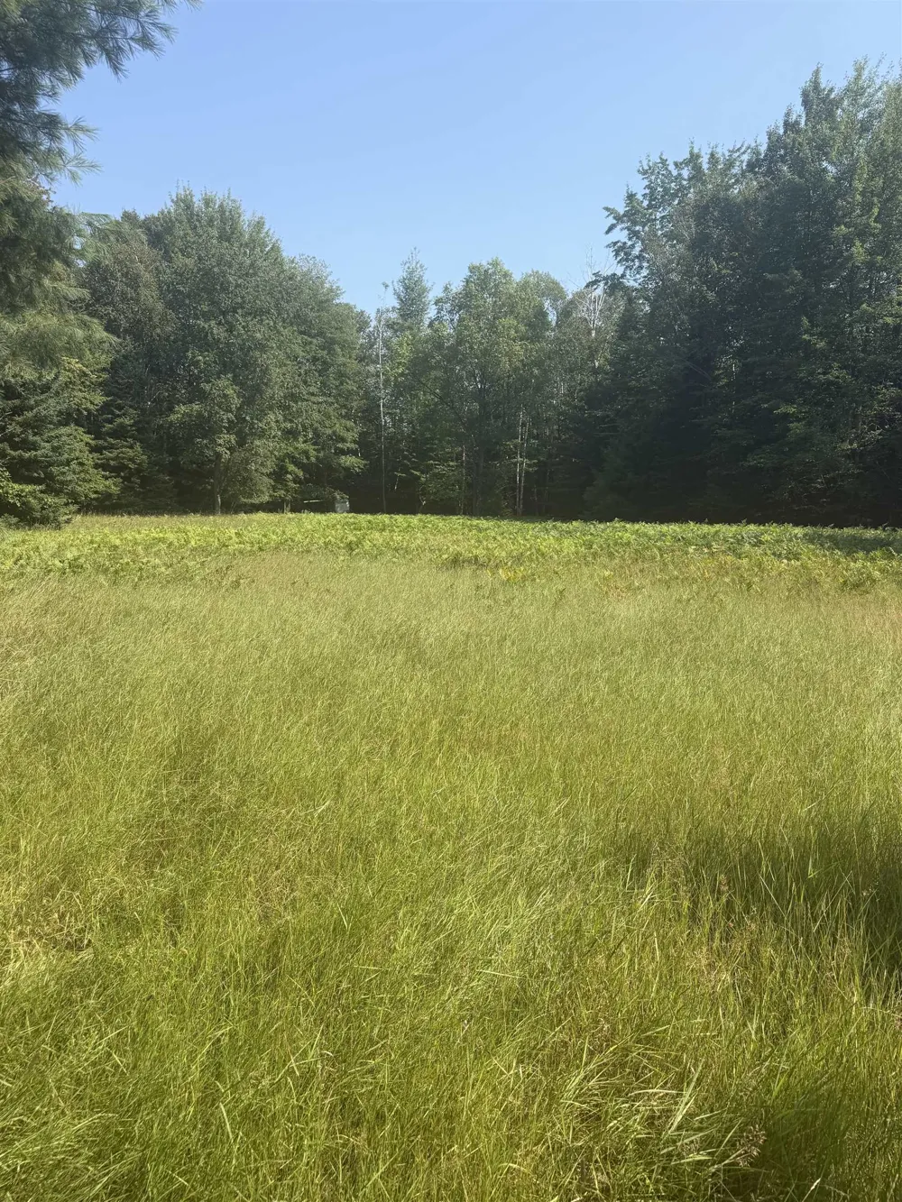 Lore Road Torch Lake Township, MI 49622