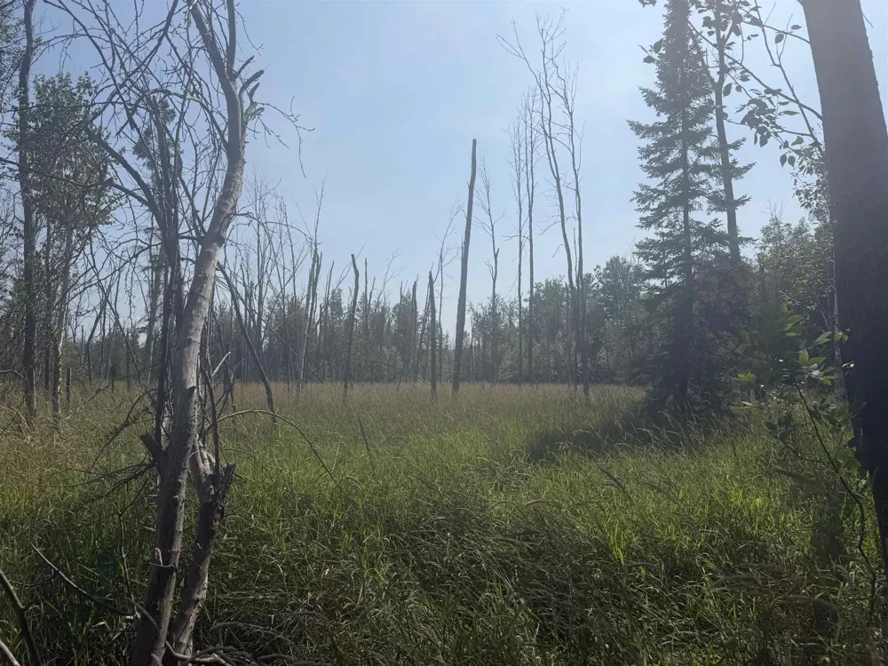 Lore Road Torch Lake Township, MI 49622