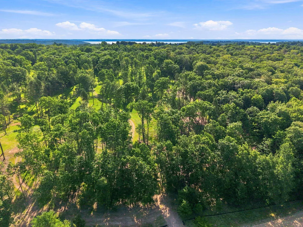 18502 Peninsula Drive Peninsula Township, MI 49686